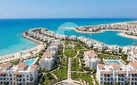 7 images (2). jpg