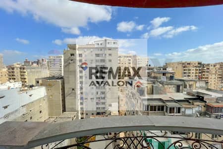 فلیٹ 2 غرفة نوم للايجار في سبورتنج، الإسكندرية - 1. jpg فلیٹ 2 غرفة نوم للايجار في سبورتنج، الإسكندرية - 1. jpg