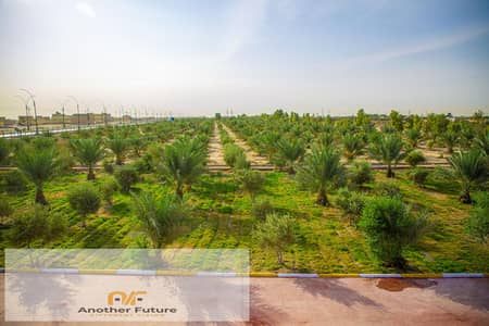 أرض تجارية للبيع في 6 اكتوبر، الجيزة - 9a21dc807049cabf0c2c5da6fb219aa4. jpg أرض تجارية للبيع في 6 اكتوبر، الجيزة - 9a21dc807049cabf0c2c5da6fb219aa4. jpg