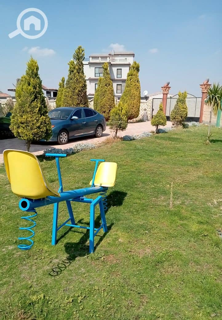 3 262664. jpg