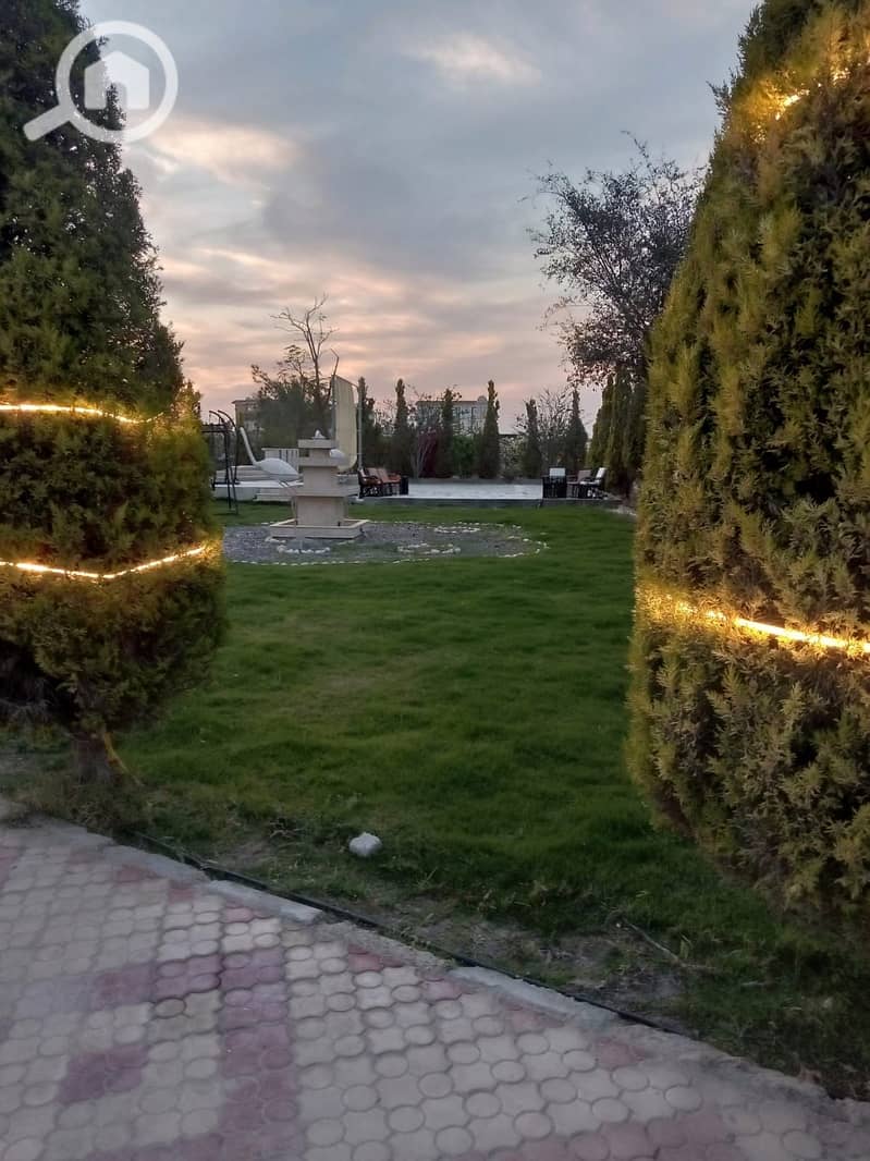 8 258447. jpg