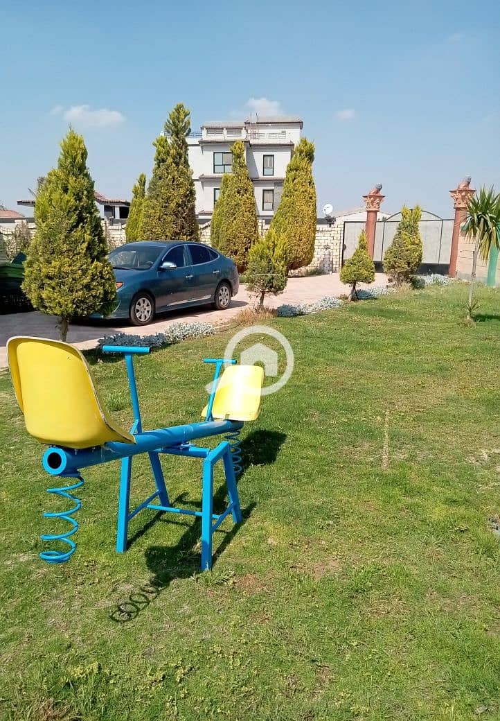 11 258450. jpg