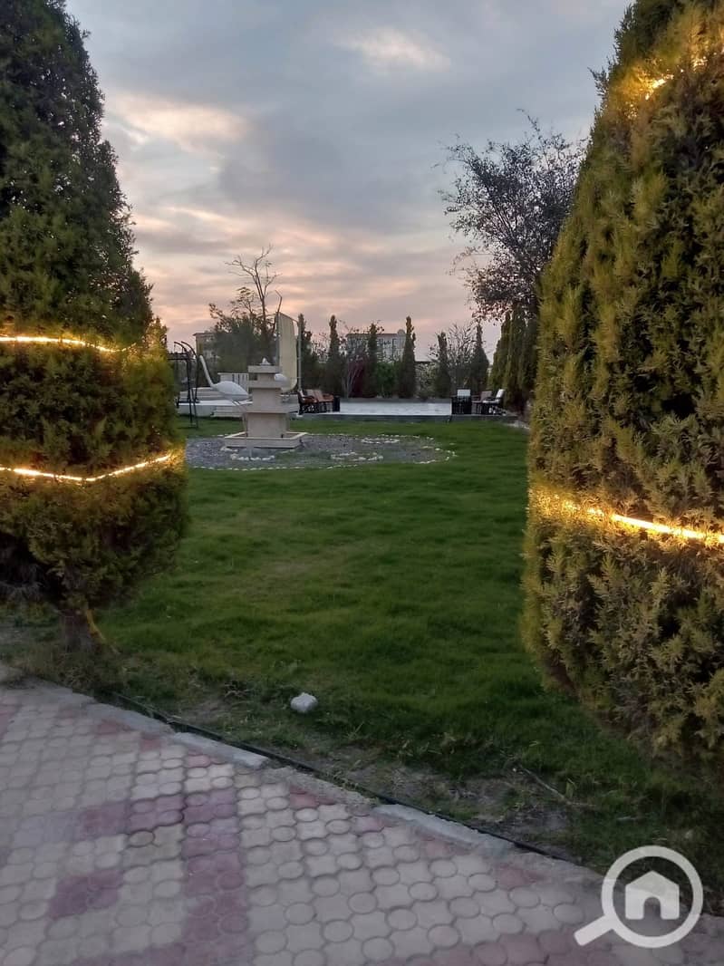 25 258466. jpg