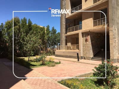 شقة 3 غرف نوم للبيع في 6 اكتوبر، الجيزة - 3. png---b87fd00ad233576f5183a8e6cf384416. png شقة 3 غرف نوم للبيع في 6 اكتوبر، الجيزة - 3. png---b87fd00ad233576f5183a8e6cf384416. png