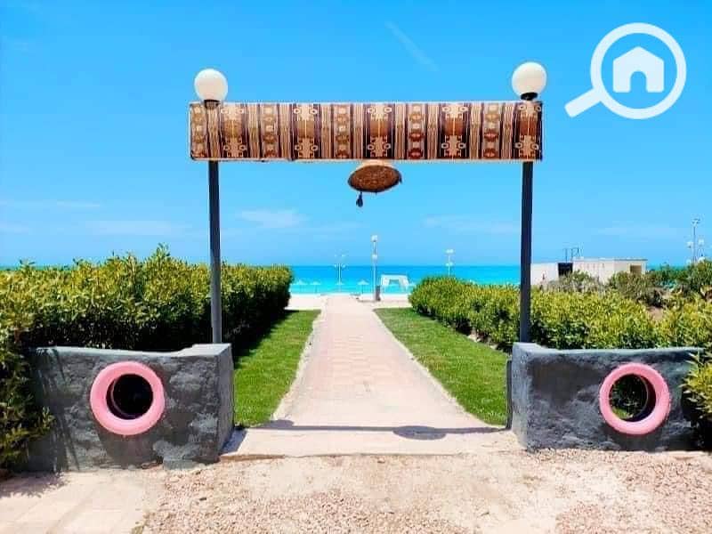 17 3. jpg