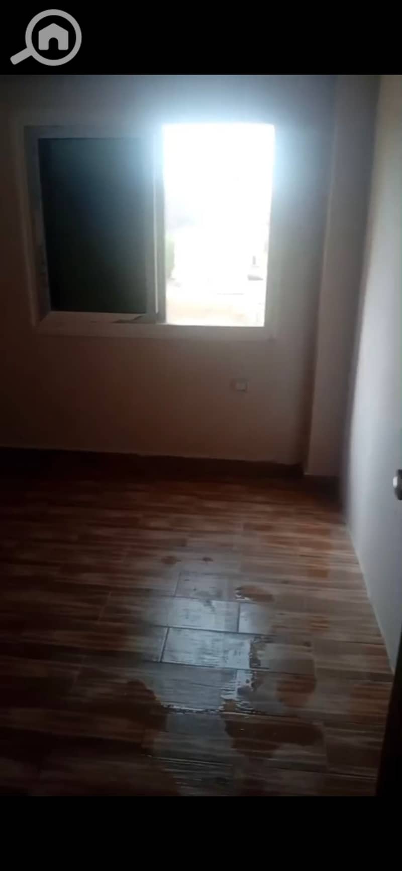 2 903682. jpg