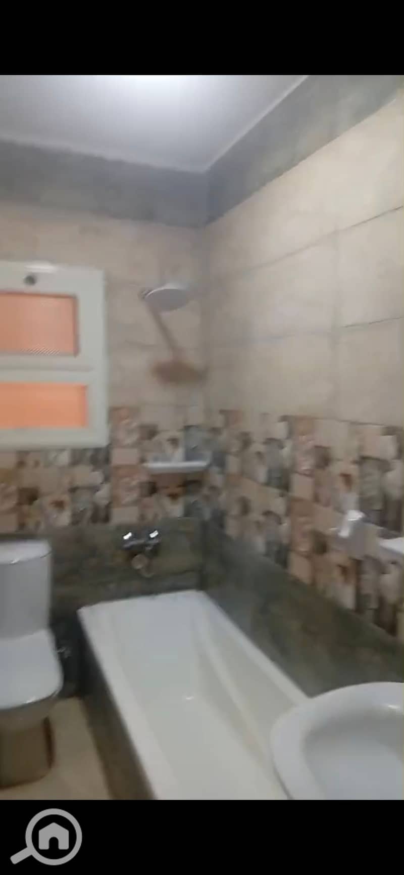 3 903681. jpg