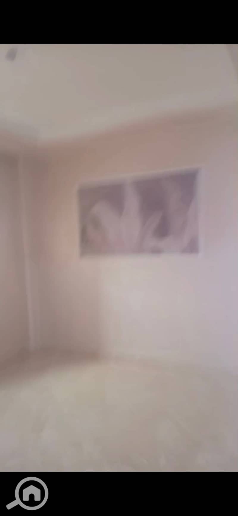 8 903676. jpg