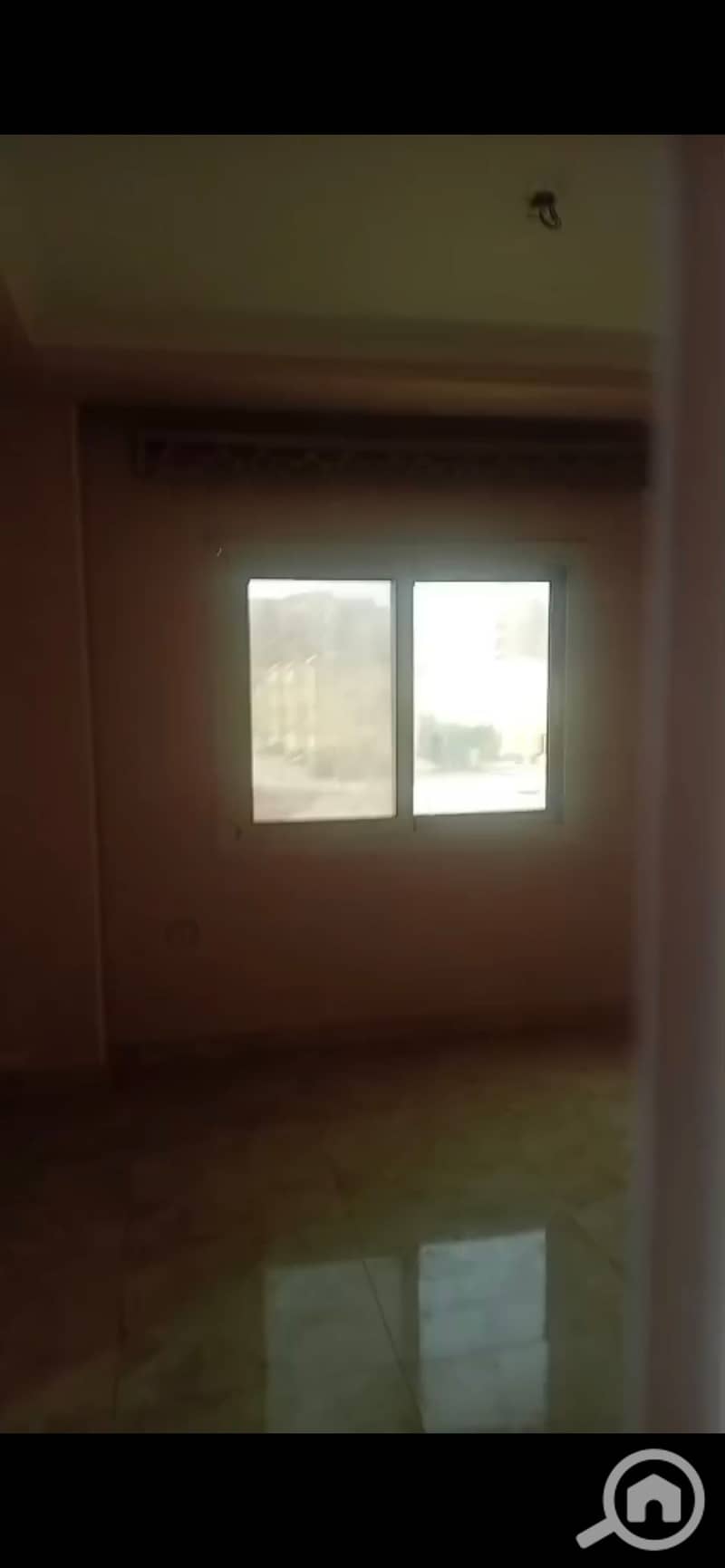 9 903675. jpg