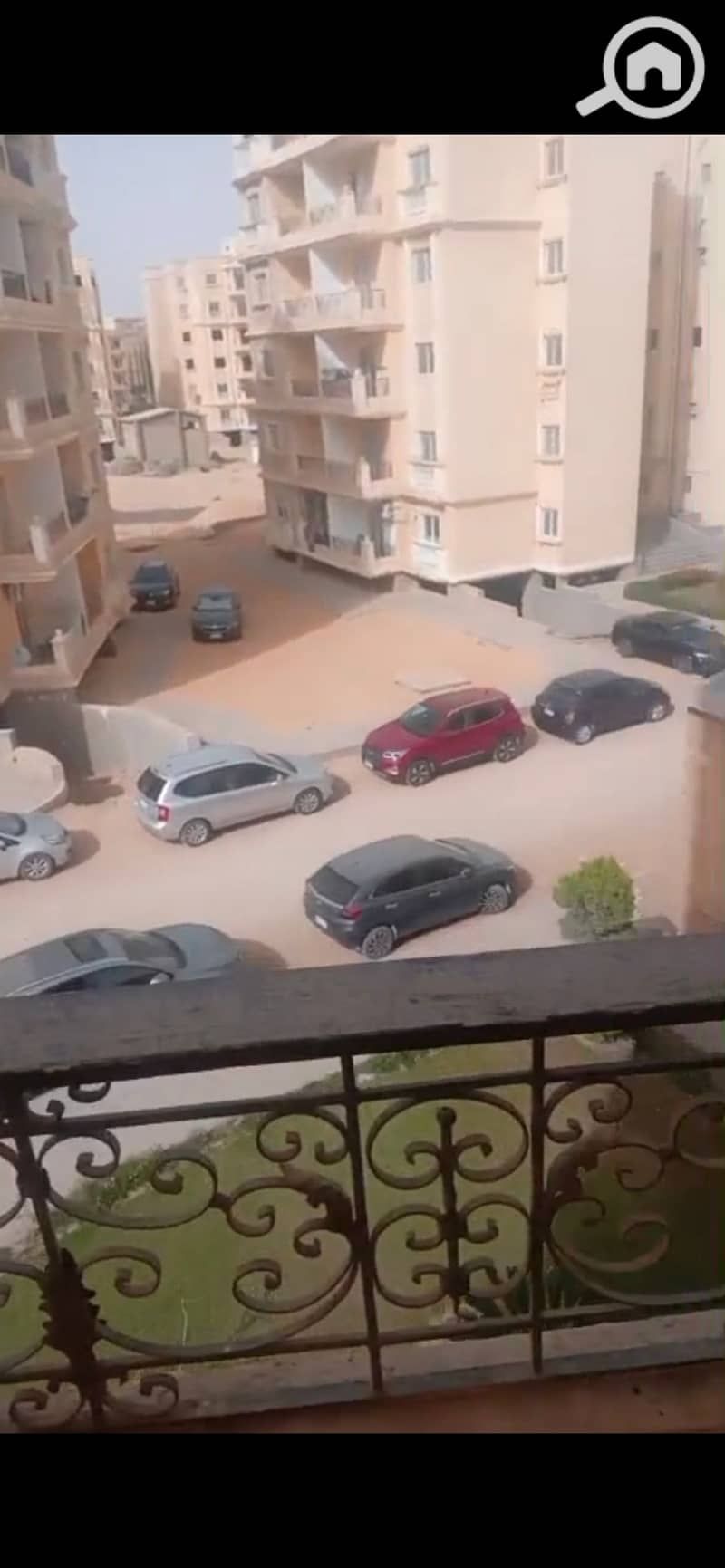 16 903665. jpg