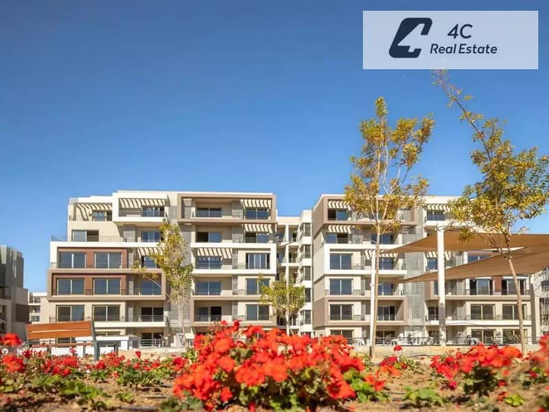10 2263. webp