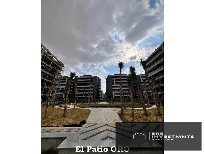 8 El_Patio_ORO_81. jpg