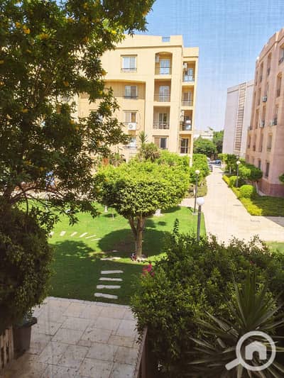 3 Bedroom Flat for Sale in New Cairo, Cairo - IMG-20260731-WA0046. jpg 3 Bedroom Flat for Sale in New Cairo, Cairo - IMG-20260731-WA0046. jpg