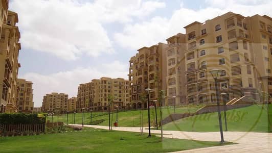2 Bedroom Flat for Sale in Madinaty, Cairo - WhatsApp Image 2026-08-05 at 4.28. 52 PM (1). jpeg 2 Bedroom Flat for Sale in Madinaty, Cairo - WhatsApp Image 2026-08-05 at 4.28. 52 PM (1). jpeg