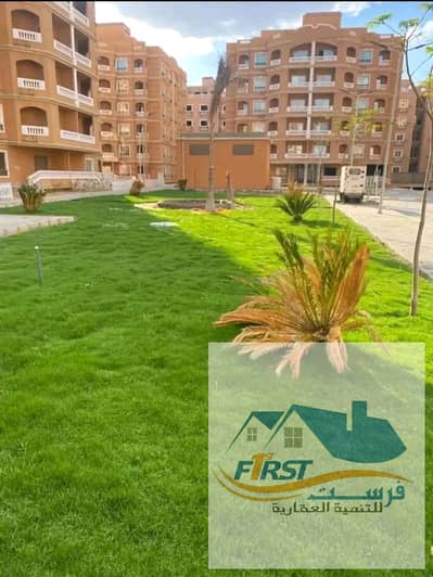 فلیٹ 3 غرف نوم للايجار في القاهرة الجديدة، القاهرة - 1000275115. jpg فلیٹ 3 غرف نوم للايجار في القاهرة الجديدة، القاهرة - 1000275115. jpg