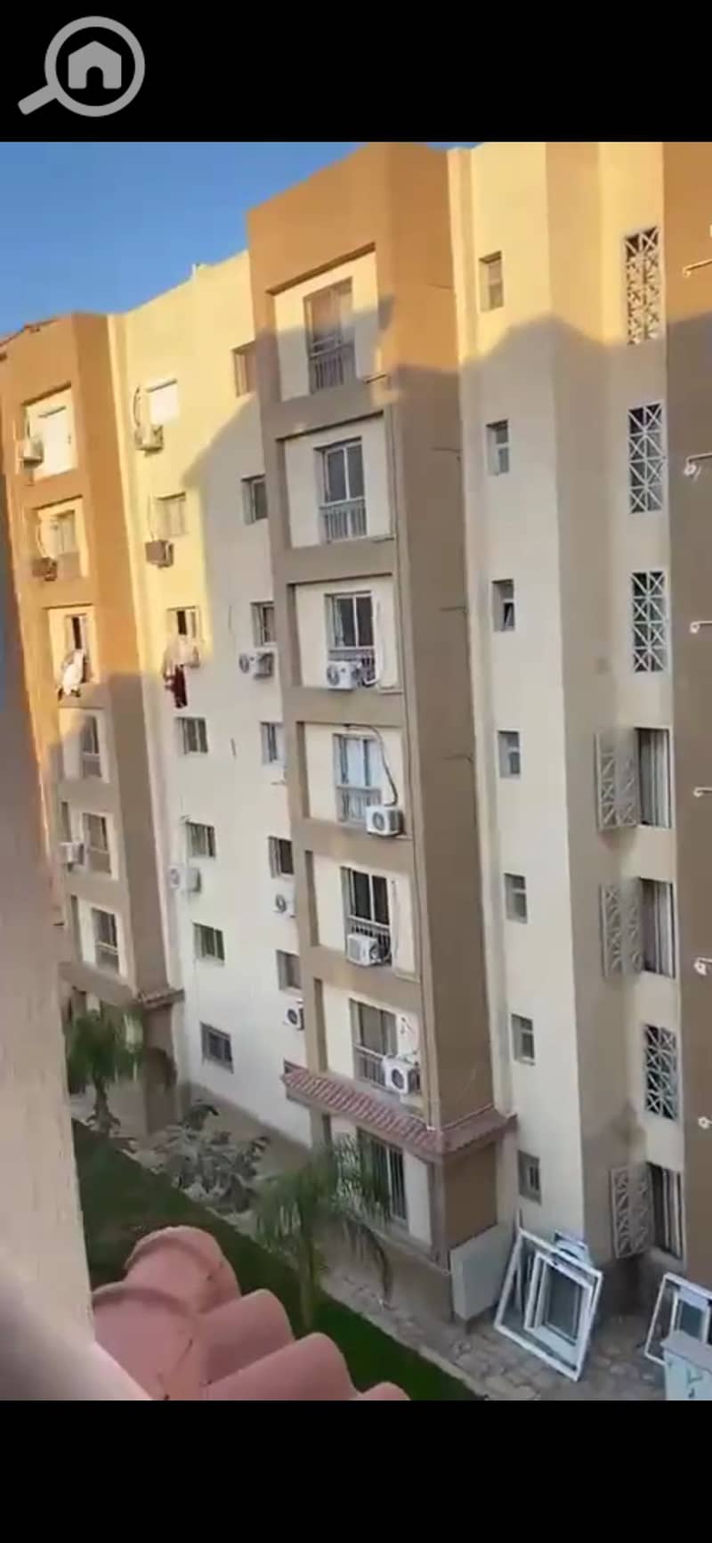 7 1000040636. jpg