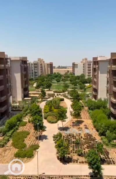 3 Bedroom Flat for Sale in Shorouk City, Cairo - WhatsApp Image 2026-08-06 at 3.07. 23 PM. jpeg 3 Bedroom Flat for Sale in Shorouk City, Cairo - WhatsApp Image 2026-08-06 at 3.07. 23 PM. jpeg