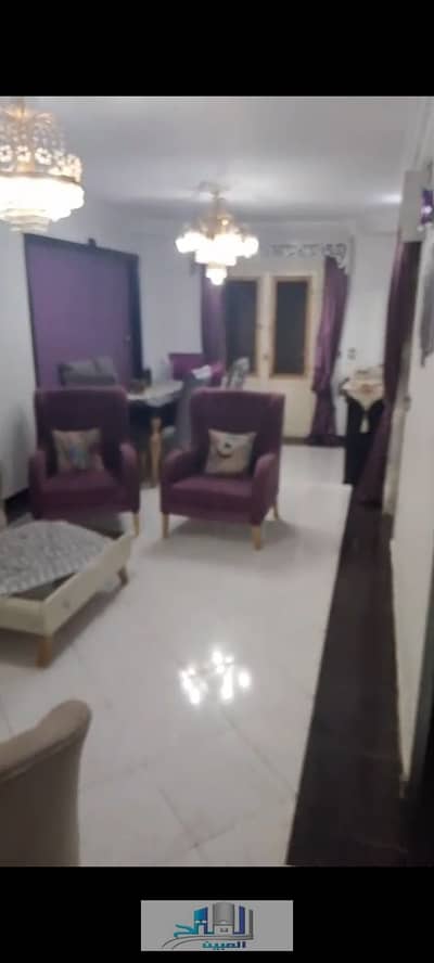 فلیٹ 3 غرف نوم للبيع في ميامي، الإسكندرية - WhatsApp Image 2026-08-06 at 4.07. 53 PM (1). jpeg فلیٹ 3 غرف نوم للبيع في ميامي، الإسكندرية - WhatsApp Image 2026-08-06 at 4.07. 53 PM (1). jpeg