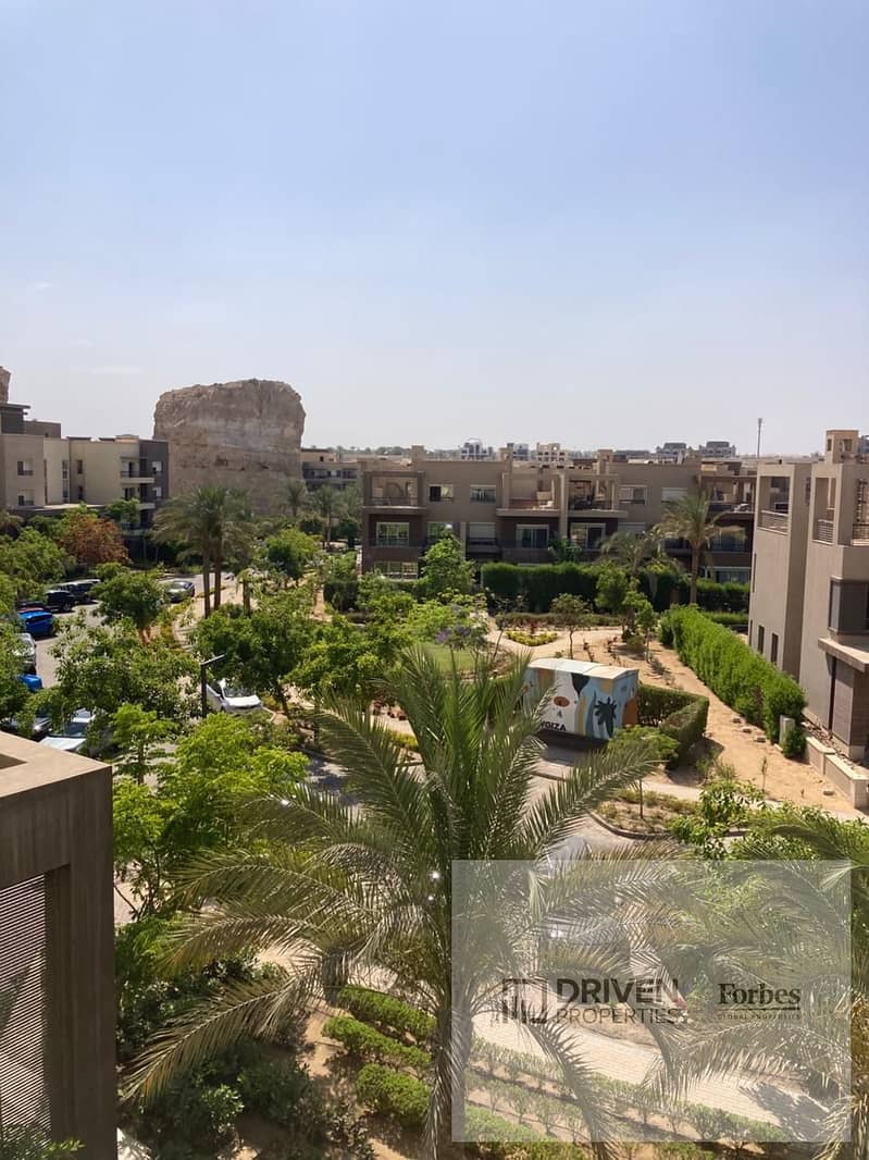 4 new giza (9). jpeg