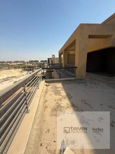 9 new giza (16). jpg
