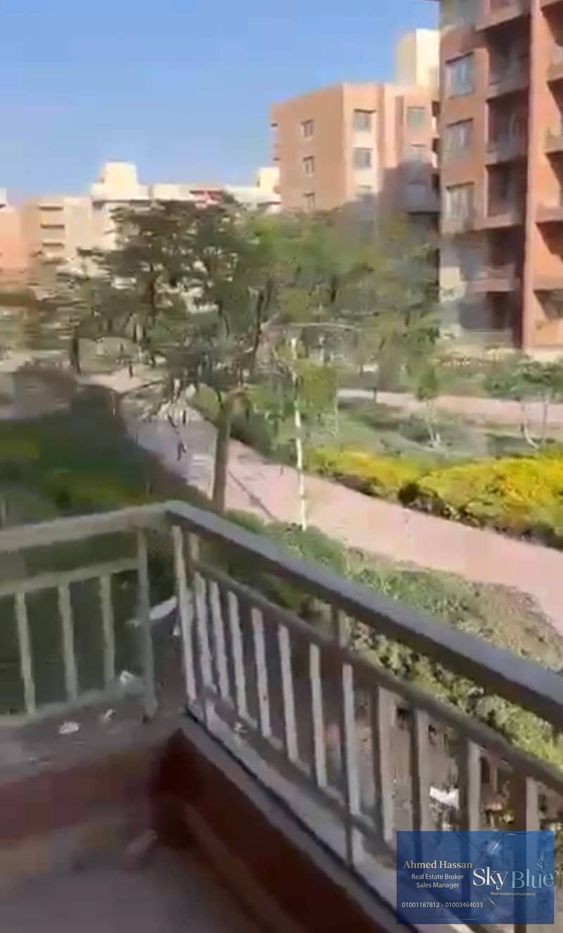 4 276417. jpg