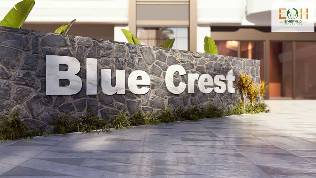 7 Blue_1 - Photo - Copy. jpg