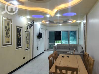 شقة 3 غرف نوم للايجار في النخيل، الإسكندرية - 1000989357. jpg