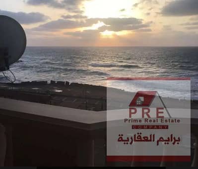 فلیٹ 3 غرف نوم للايجار في لوران، الإسكندرية - gdgdgdgddg. png