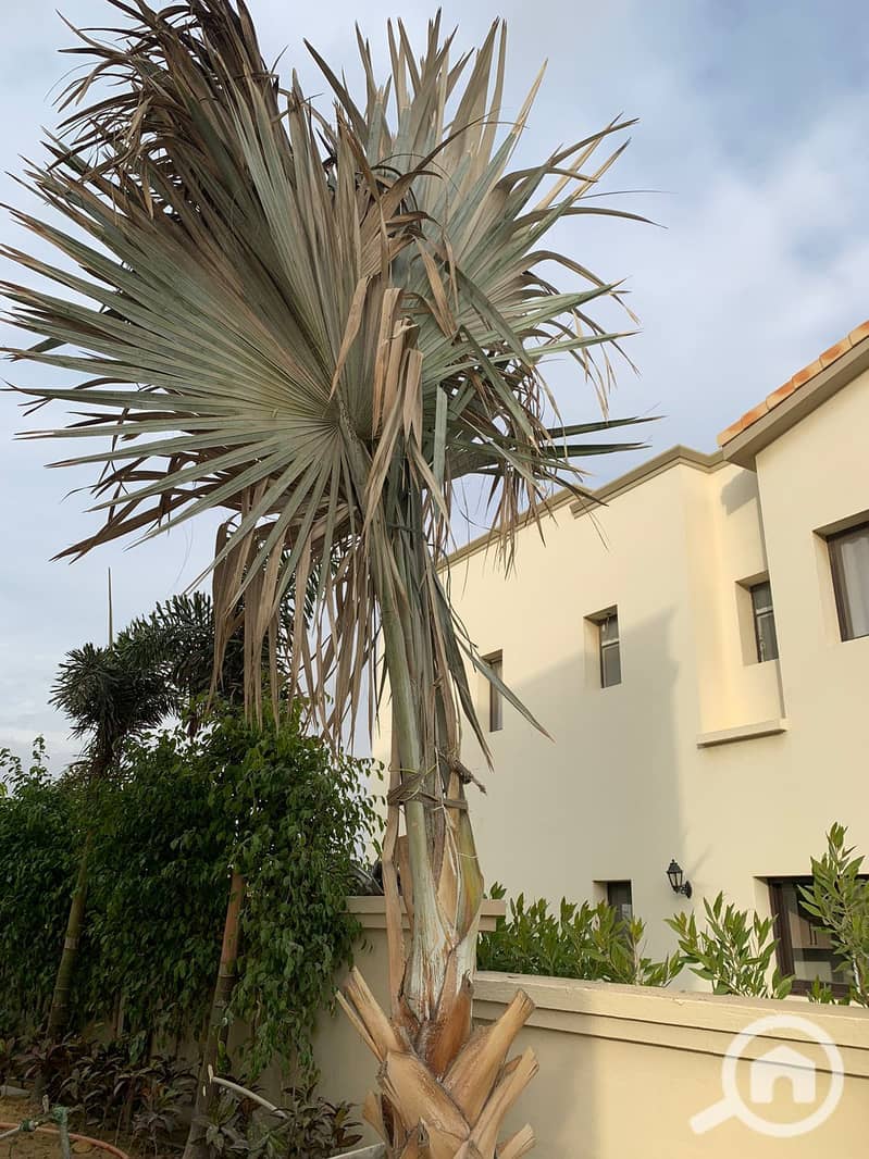17 WhatsApp Image 2026-08-06 at 6.20. 19 PM. jpeg