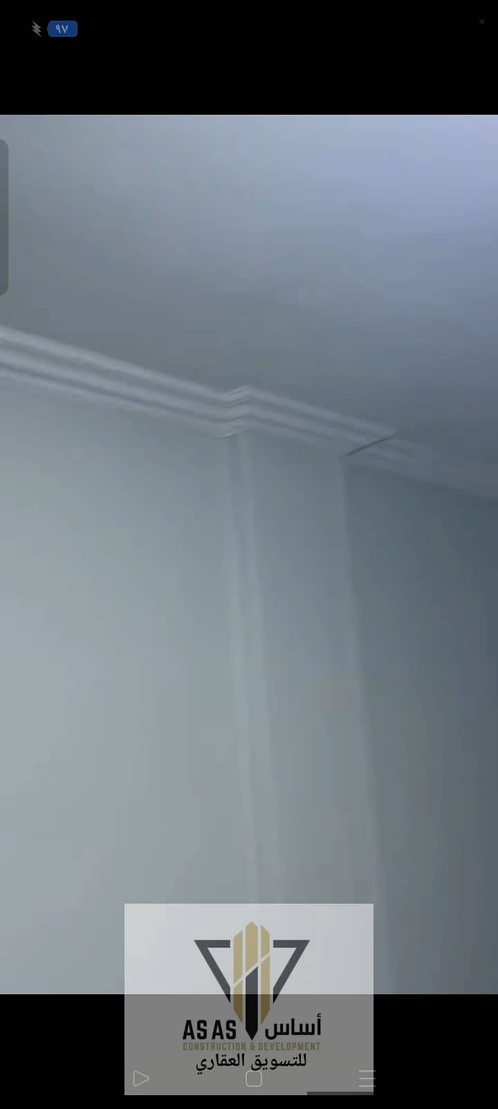 8 43658. jpg