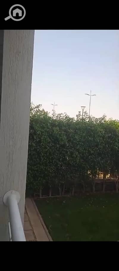 3 Bedroom Flat for Sale in Madinaty, Cairo - 1000364619. jpg 3 Bedroom Flat for Sale in Madinaty, Cairo - 1000364619. jpg