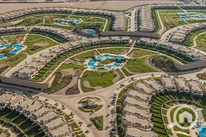 9 images (13). jpg