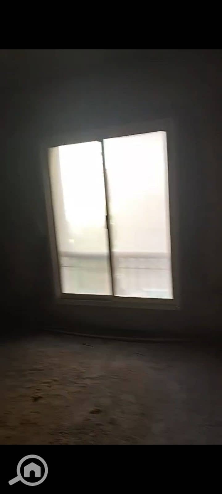 9 1000071795. jpg