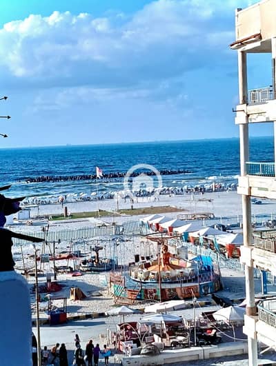 شقة 2 غرفة نوم للبيع في النخيل، الإسكندرية - 1001008306. jpg شقة 2 غرفة نوم للبيع في النخيل، الإسكندرية - 1001008306. jpg