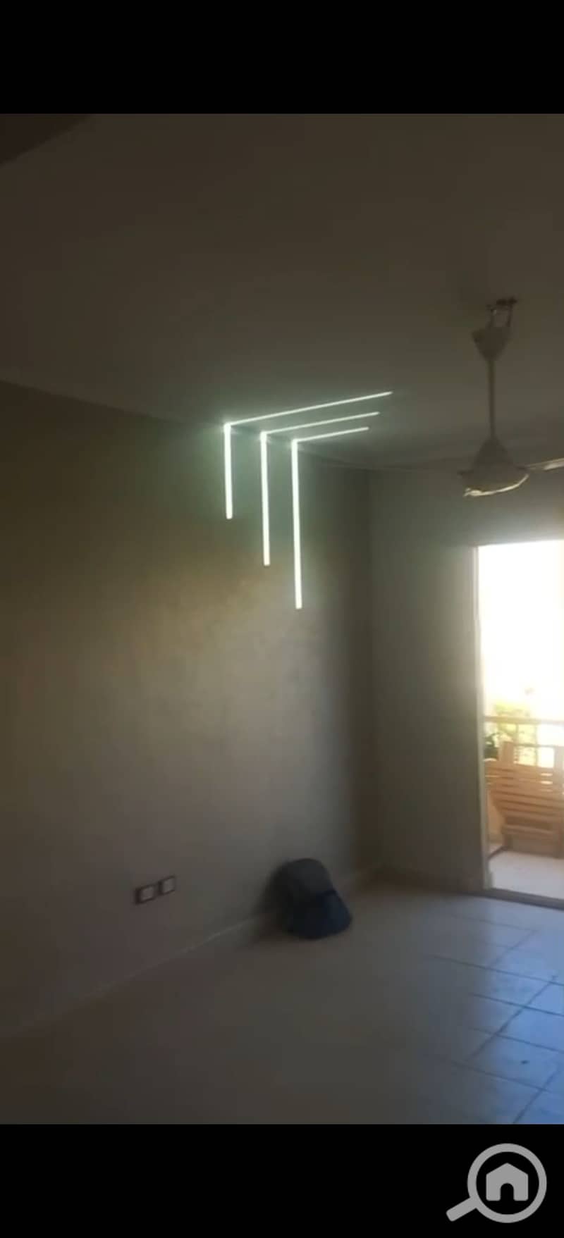 2 294369. jpg