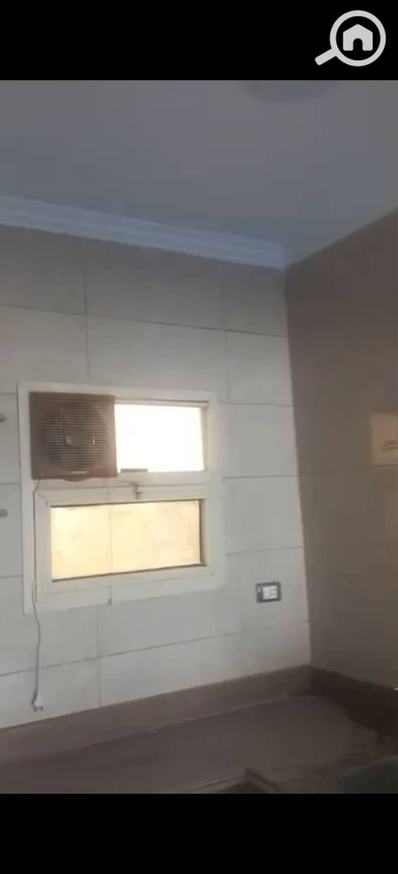 4 294372. jpg