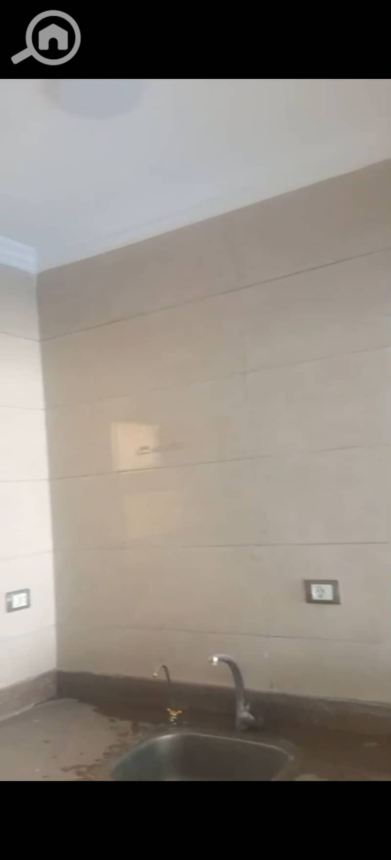 5 294371. jpg