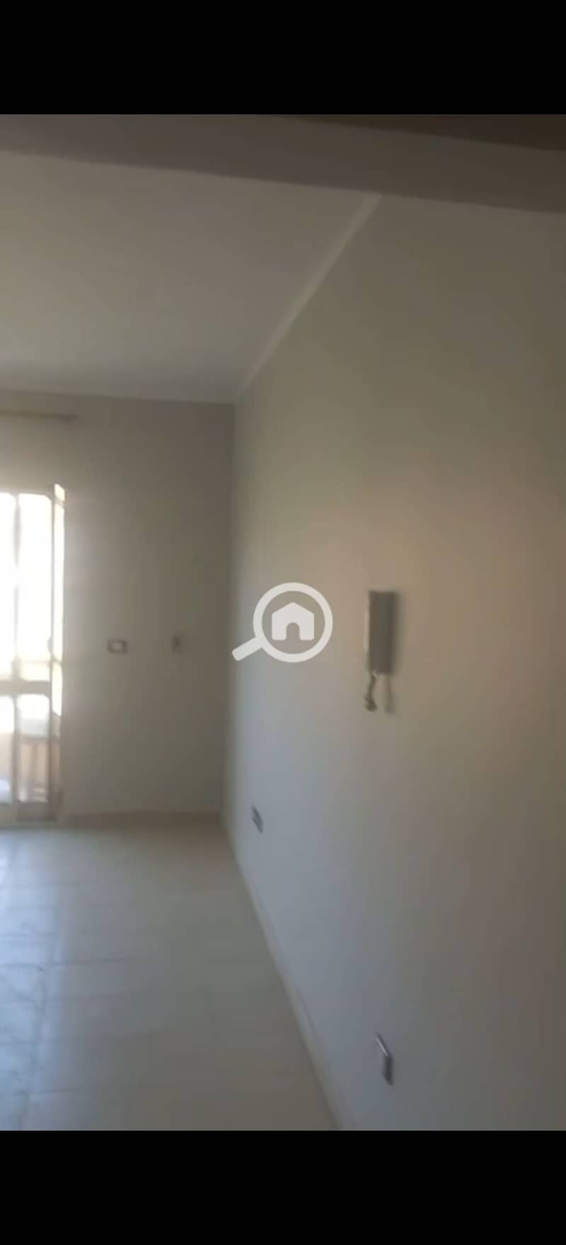 8 294367. jpg