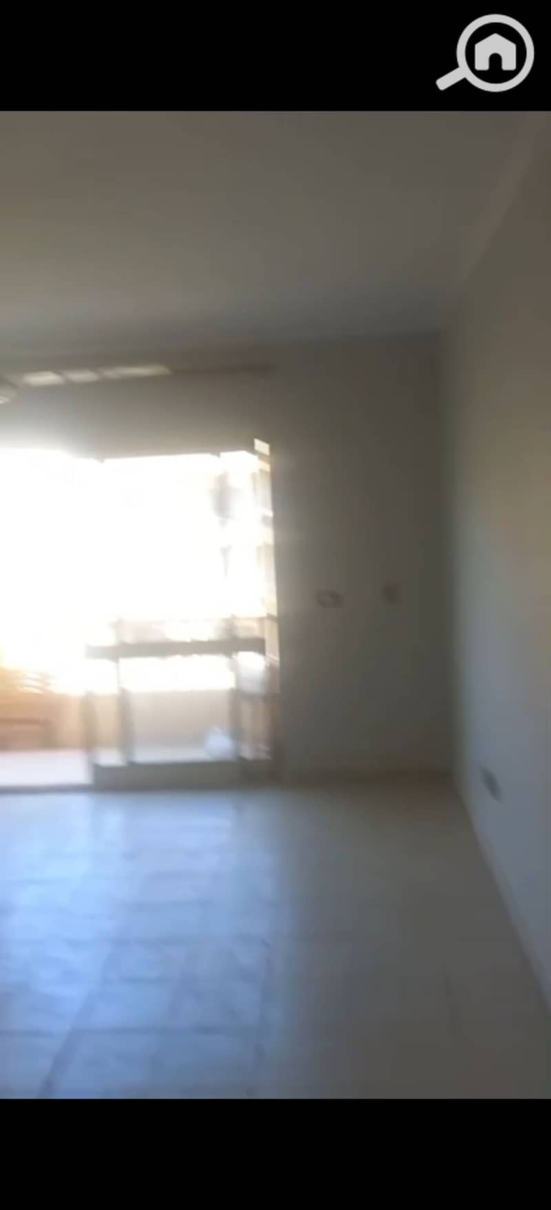 9 294368. jpg