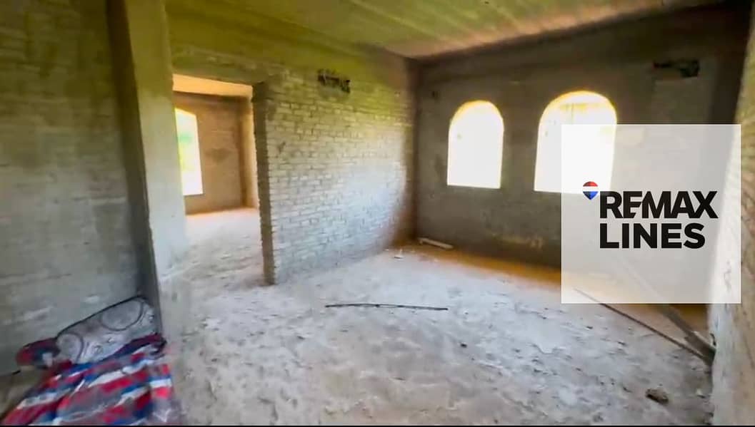 10 1000101484. jpg