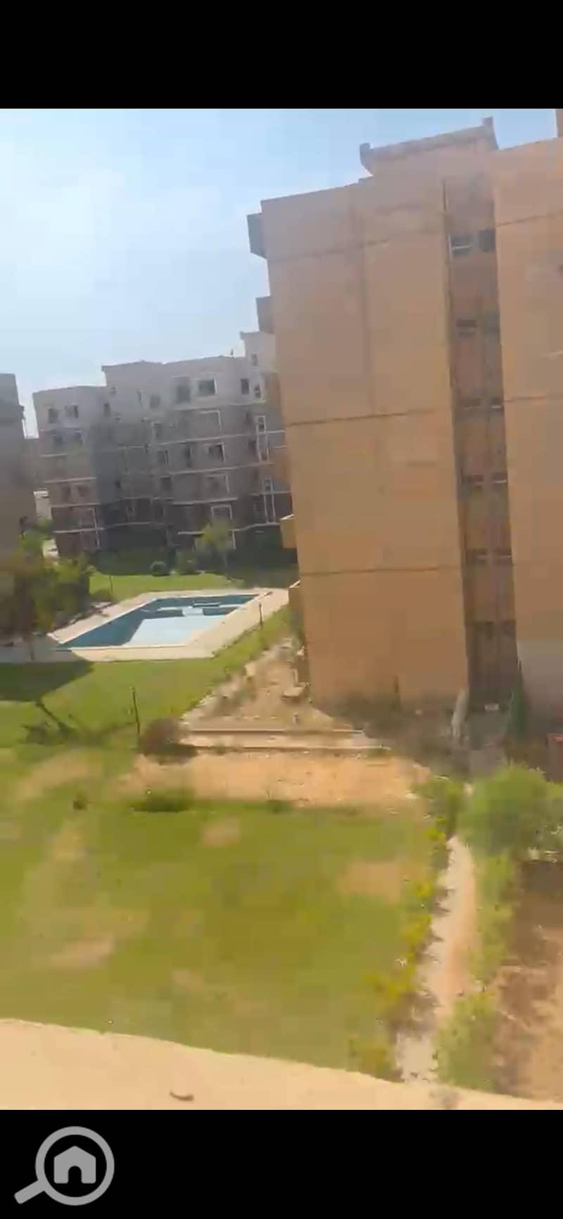 2 905415. jpg