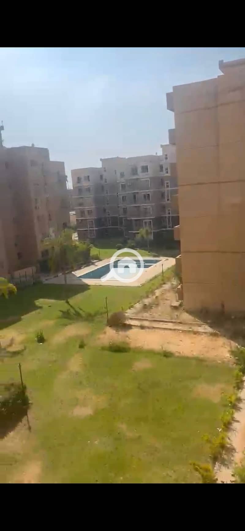 3 905416. jpg