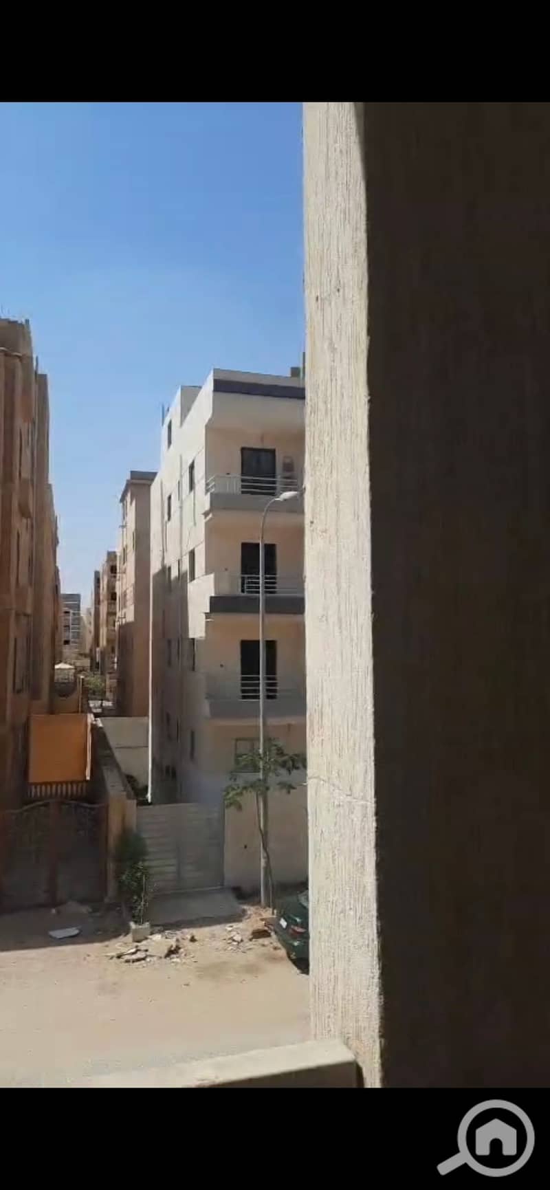 4 905437. jpg