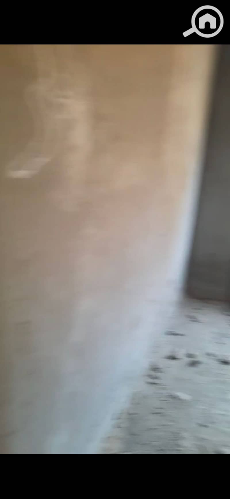6 905440. jpg