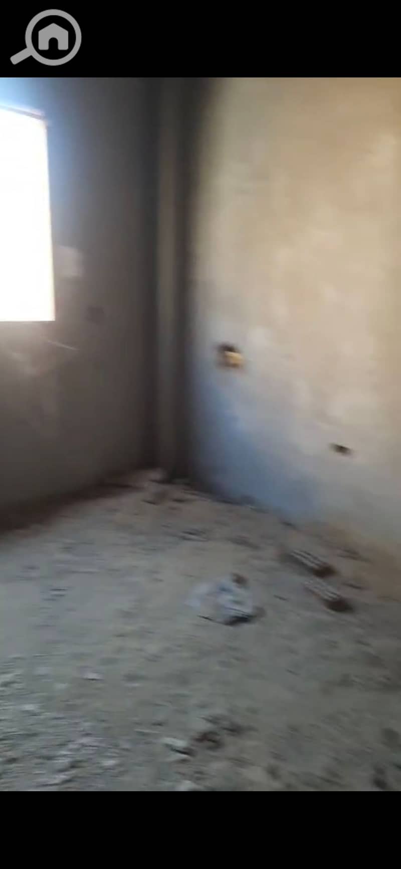 7 905441. jpg