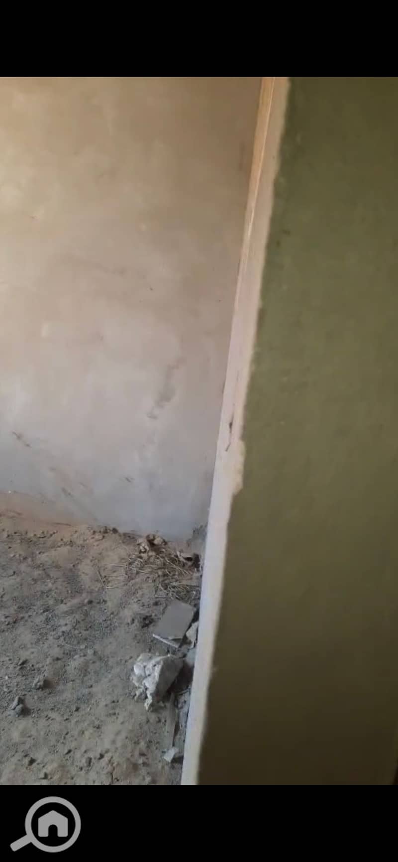 8 905442. jpg