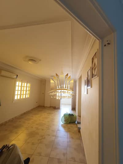 3 Bedroom Apartment for Rent in Maadi, Cairo - 1000988359. jpg 3 Bedroom Apartment for Rent in Maadi, Cairo - 1000988359. jpg