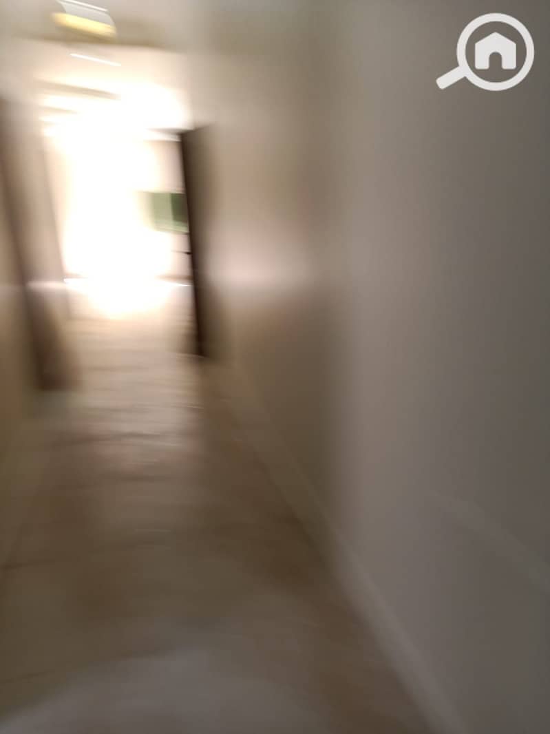 12 1000378384. jpg