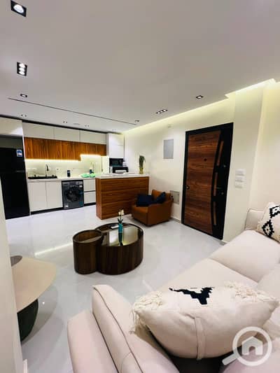1 Bedroom Apartment for Rent in Maadi, Cairo - 1000695861. jpg
