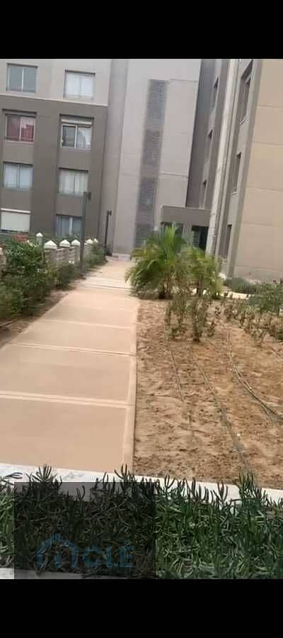 14 WhatsApp Image 2026-08-07 at 07.56. 14 (1). jpeg